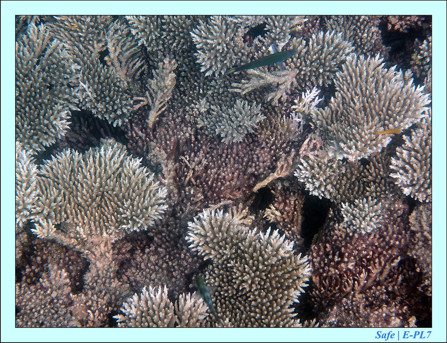 2015   07   Peranthian Islands 27